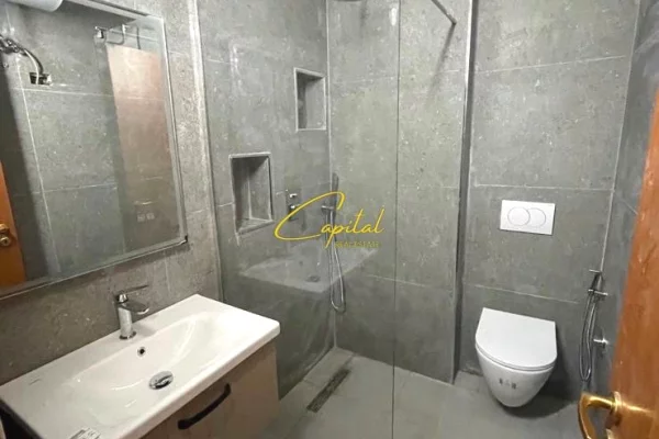Shtepi me qera Apartament ne Tirane, 1+1, Mobilimi E mobiluar, Pagesa 50,000  Leke.