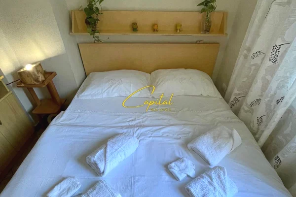 Shtepi me qera Apartament ne Tirane, 1+1, Mobilimi E mobiluar, Pagesa 50,000  Leke.