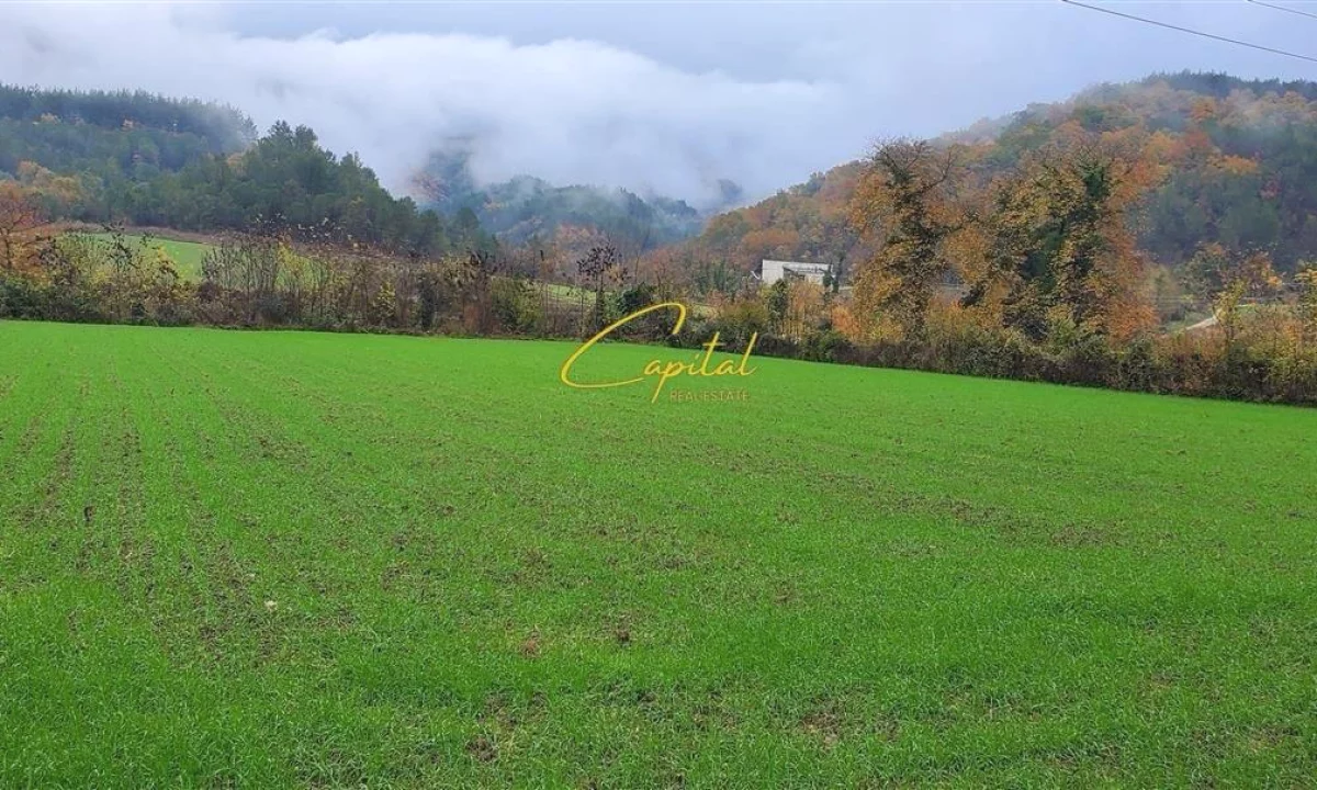 SHITET TOKE 3.500 M2 PETRELE 315.000 EURO