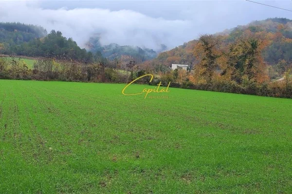 SHITET TOKE 3.500 M2 PETRELE 315.000 EURO