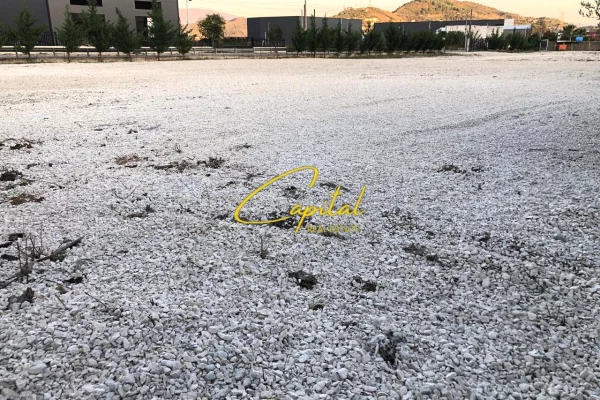 TOKE ME QERA 3000 M2 PRUSH 180.000 LEKE