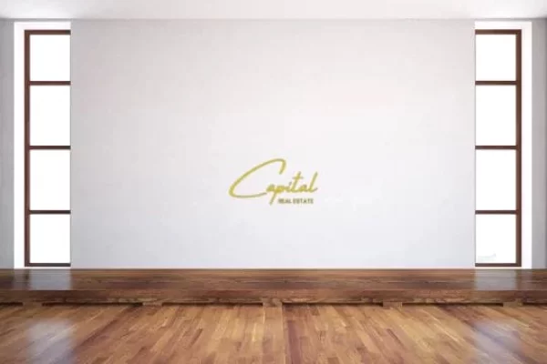 DYQAN ME QERA 33 M2 VASIL SHANTO 700 EURO