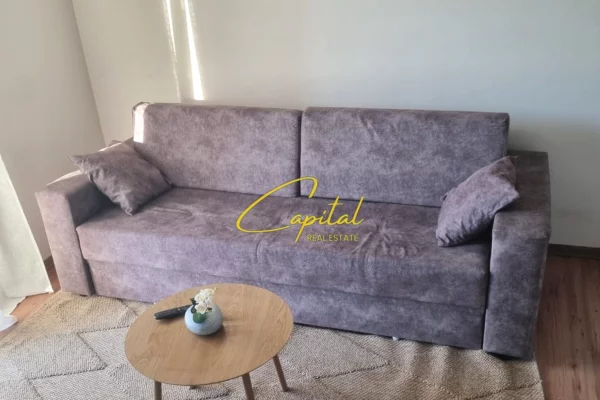 House for Rent 1+1 in Tirana - 43,000 Leke