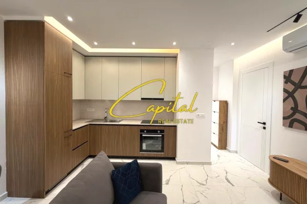 Shtepi me qera Apartament ne Tirane, 1+1, Mobilimi E mobiluar, Pagesa 73,000  Leke.