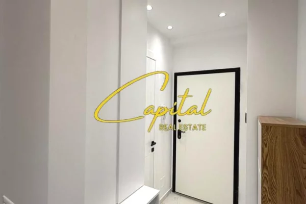 Shtepi me qera Apartament ne Tirane, 1+1, Mobilimi E mobiluar, Pagesa 73,000  Leke.