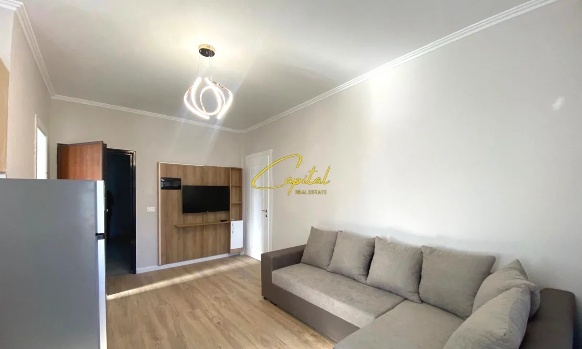 Shtepi me qera Apartament ne Tirane, 1+1, Mobilimi E mobiluar, Pagesa 55,000  Leke.