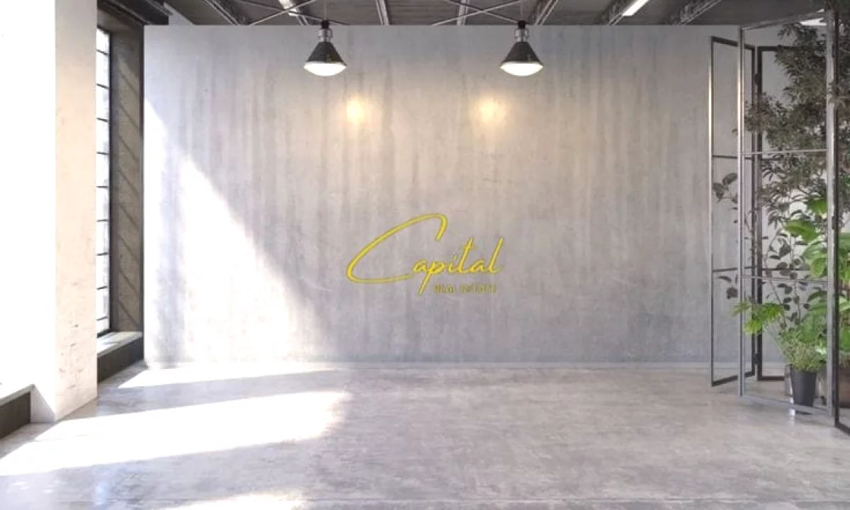 SHITET AMBIENT BIZNESI 69 M2 ISH TREGU ELEKTRIK 314.000 EURO