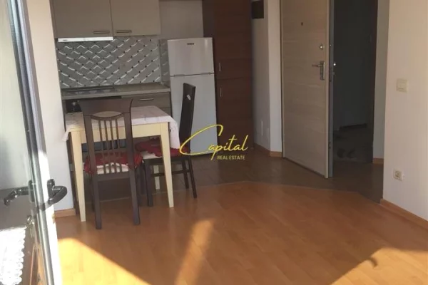 Shtepi me qera Apartament ne Tirane, 1+1, Mobilimi E mobiluar, Pagesa 50,000  Leke.