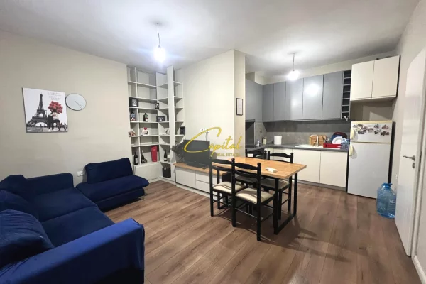 Shtepi ne shitje Apartament ne Tirane, 1+1, Mobilimi E mobiluar, Pagesa 96,000  Euro.