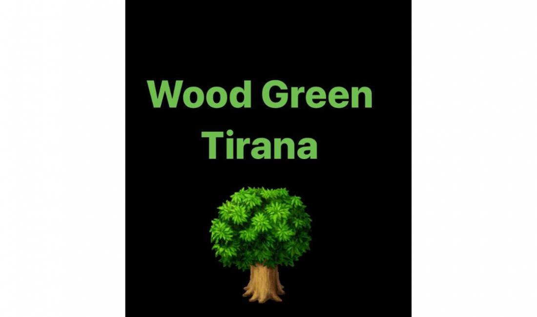 Job Offers in Tirana, Profession Kamarier/e , With experience, Payment By Agreement.