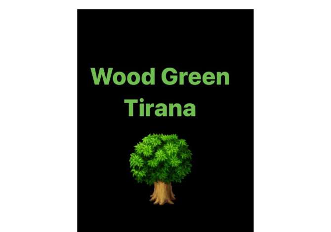 Job Offers for Waiter in Tirana