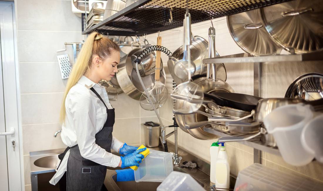 Job Offers in Tirana, Profession Sanitare/Pjatalarese , Ndihmes kuzhinier, Banakiere  , With experience, Payment By Agreement.