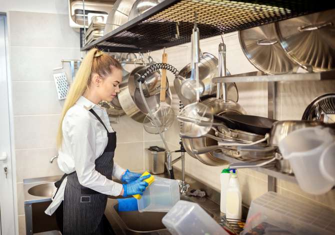 Job Offers for Sanitary-Cleaner in Tirana