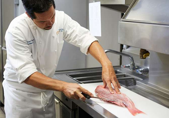 Job Offers for Cook in Tirana