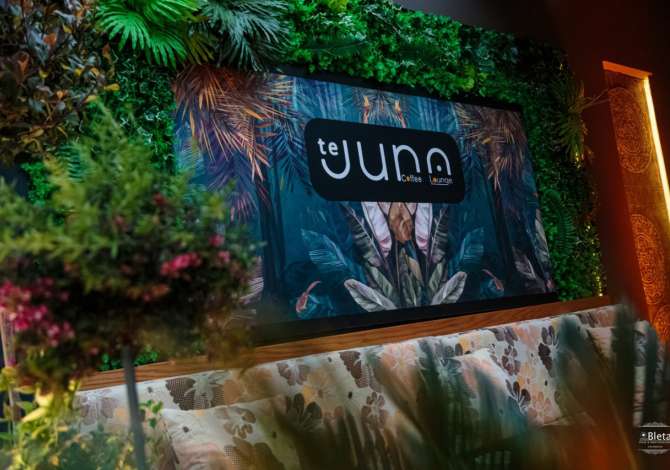 Job Offers for Barkeeper in Vlora