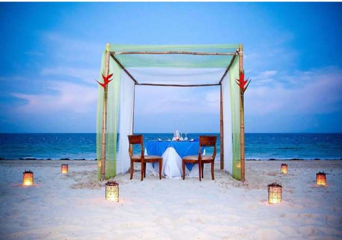 Offerte di lavoro per Shef Kuzhine a Alessio