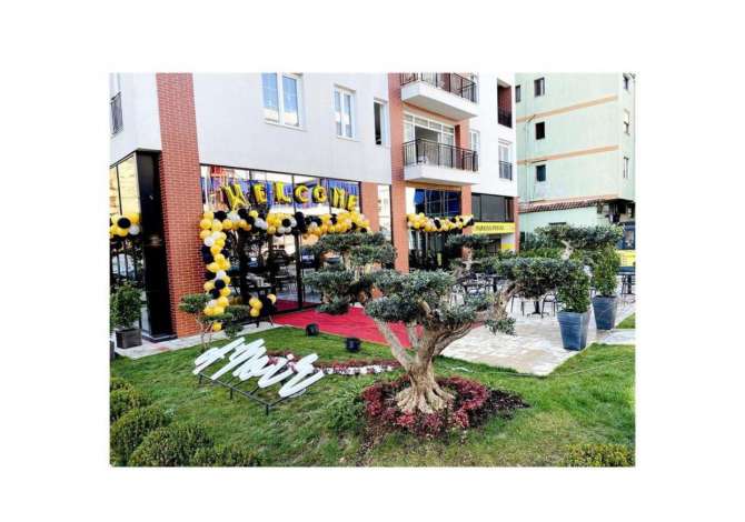 Offerte di lavoro a Tirana, Profession kamarier/e,banakier/e , , Pagamento Trattabile.