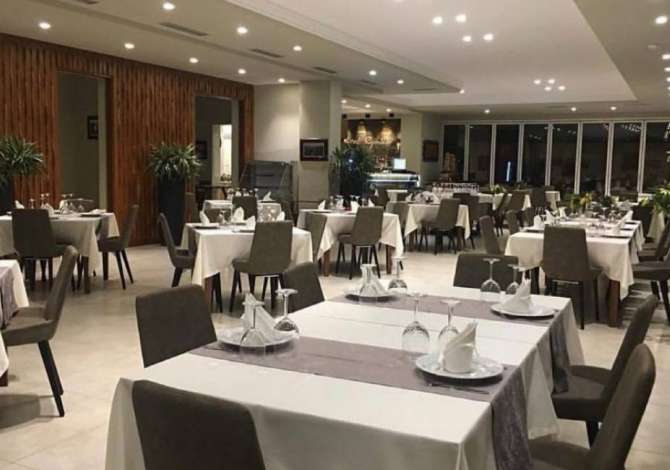 Offerte di lavoro per Kamarier/e, Banakier/e, Shitese ne market, Sanitare a Lushnja