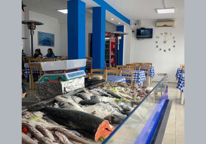 Offerte di lavoro a Tirana, Profession 2 motorrist  , , Pagamento Trattabile.