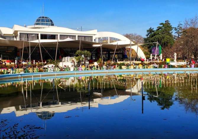 Njoftime Pune per Kasiere, Operator kamerash, Sanitare ne Tirane