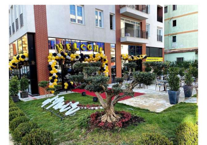 Njoftime Pune per Sanitare ne Tirane