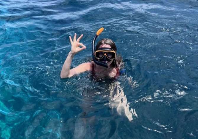 Sherbime Udhetimi dhe Transporti ne Tirane - 0 Leke