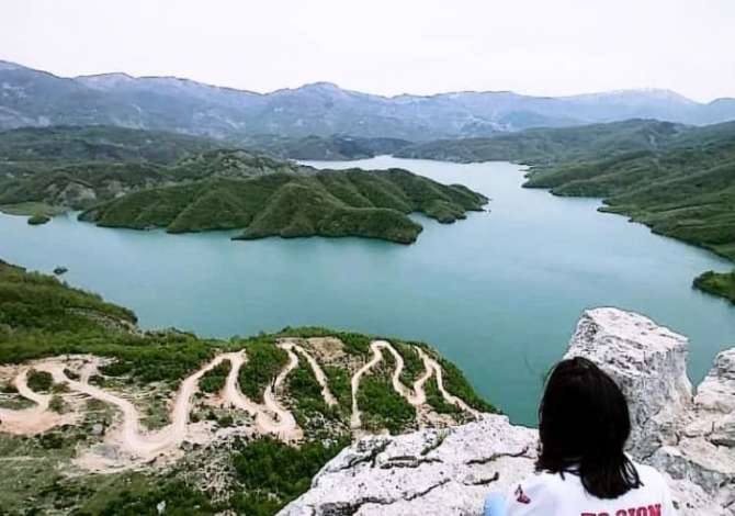 Sherbime Udhetimi dhe Transporti ne Tirane - 0 Leke