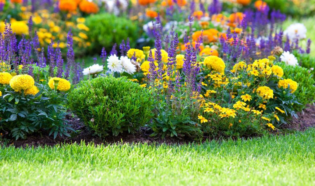 Kompani gjelberimi ofron sherbime ne Kopshtari (kopesht) dhe rregullim oborresh (oborr)