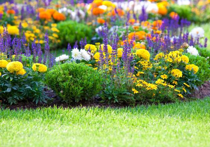 Sherbime Elektrike Hidraulike dhe Ambienti ne Tirane - 0 Leke