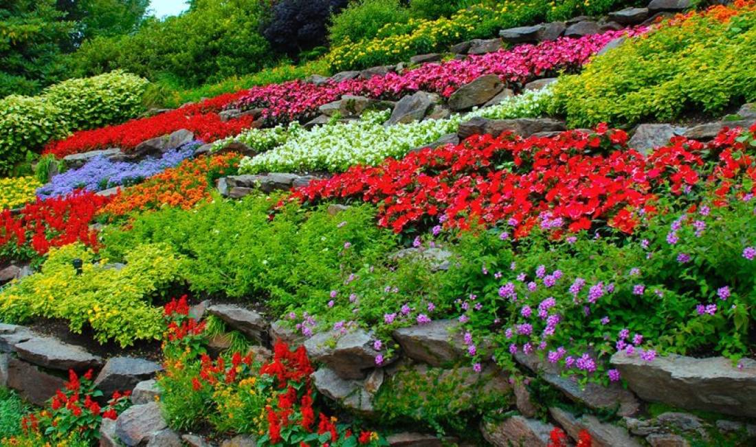 Kompani gjelberimi dizenjon, nderton dhe miremban kopshtin dhe oborrin tuaj