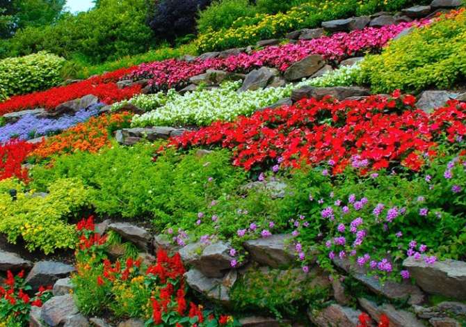 Sherbime Elektrike Hidraulike dhe Ambienti ne Tirane - 0 Leke