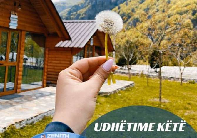 Sherbime Udhetimi dhe Transporti ne Tirane - 0 Leke