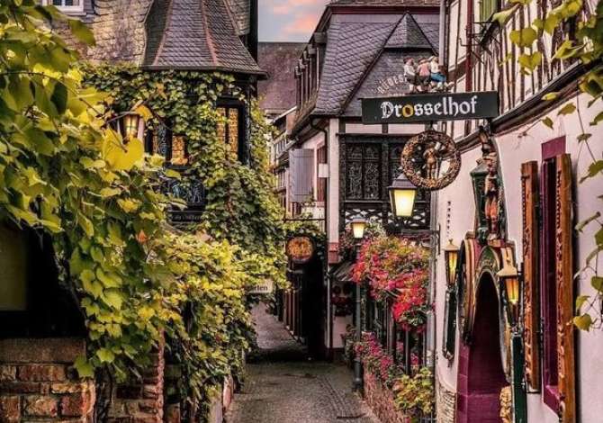 Sherbime Udhetimi dhe Transporti ne Tirane - 0 Leke