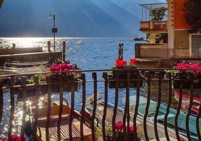 Sherbime Udhetimi dhe Transporti ne Tirane - 0 Leke