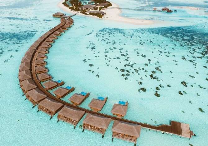 Sherbime Udhetimi dhe Transporti ne Tirane - 0 Leke