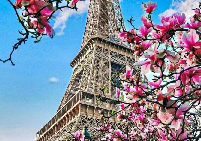 Sherbime Udhetimi dhe Transporti ne Tirane - 0 Leke