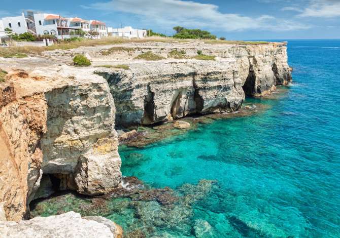 Sherbime Udhetimi dhe Transporti ne Korce - 0 Leke