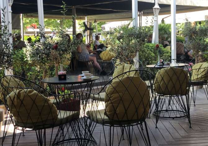 Offerte di lavoro a Durazzo, Profession  kamarier/e, banakier/e, ndihmes banakiere , Nessuna esperienza, Pagamento Trattabile.