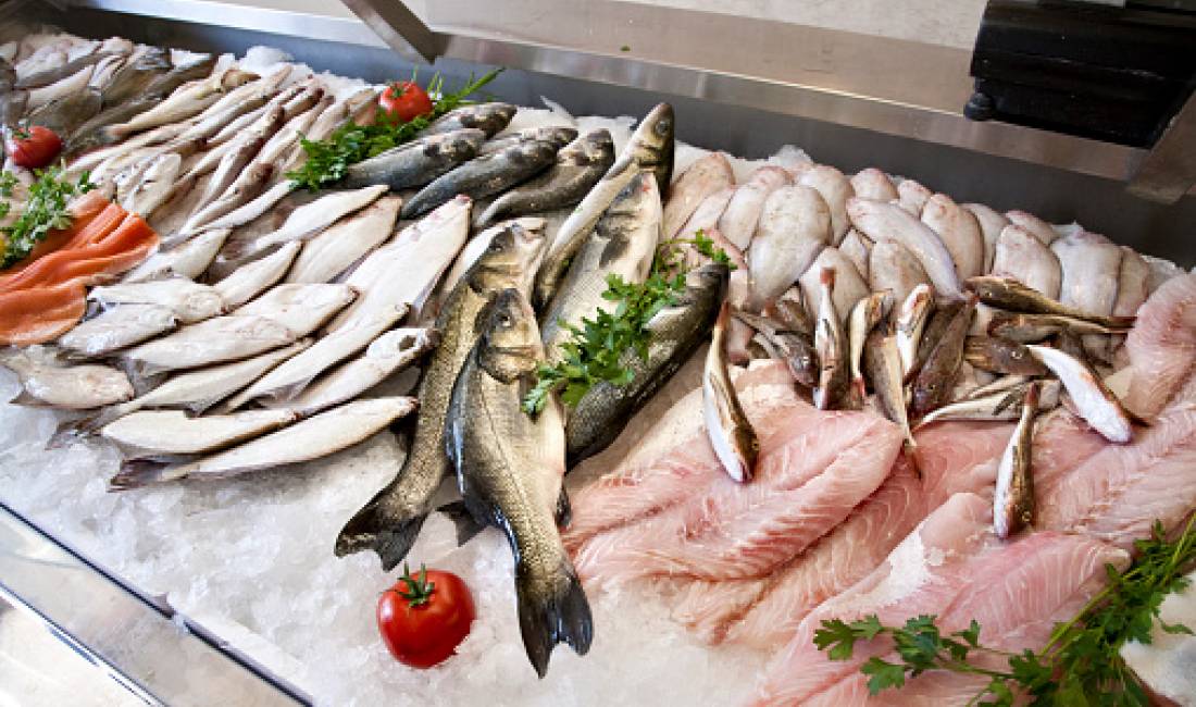 Offerte di lavoro a Tirana, Profession shitese peshku  , Nessuna esperienza, Pagamento Trattabile.