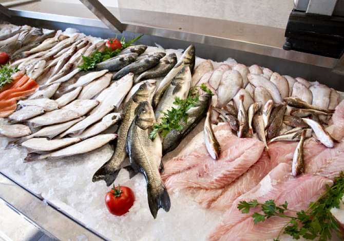 Offerte di lavoro per shitese peshku a Tirana