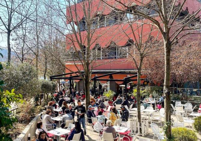 Offerte di lavoro per kamarier, sanitare a Tirana