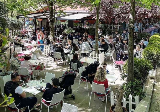 Offerte di lavoro a Tirana, Profession kamarier, sanitare , Nessuna esperienza, Pagamento 40,000  Leke.