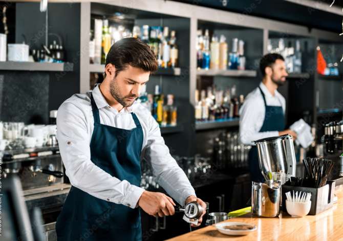 Offerte di lavoro per BANAKIER/E ,Kamarier/e a Tirana