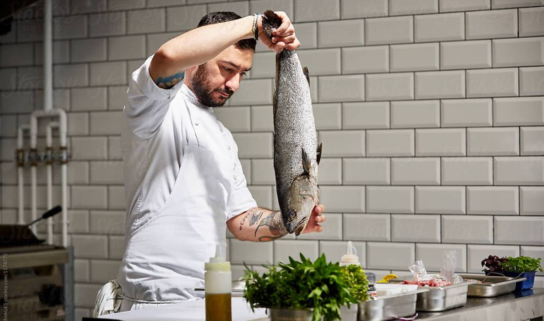 Offerte di lavoro a Tirana, Profession Kamarier  -Sanitare   -Shitese peshku  -Ndihmes kuzhunier , Con esperienza, Pagamento Trattabile.