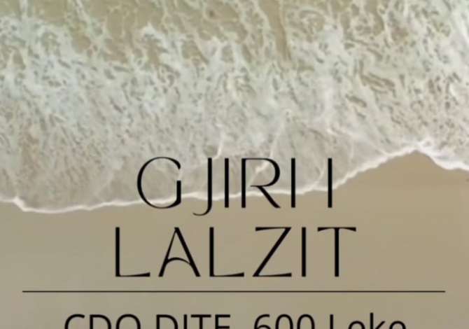 Sherbime Udhetimi dhe Transporti ne Tirane - 0 