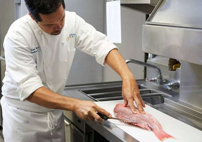 Offerte di lavoro per Ndihmes kuzhinier, Pastrues/e peshku dhe Lavapjatese a Tirana