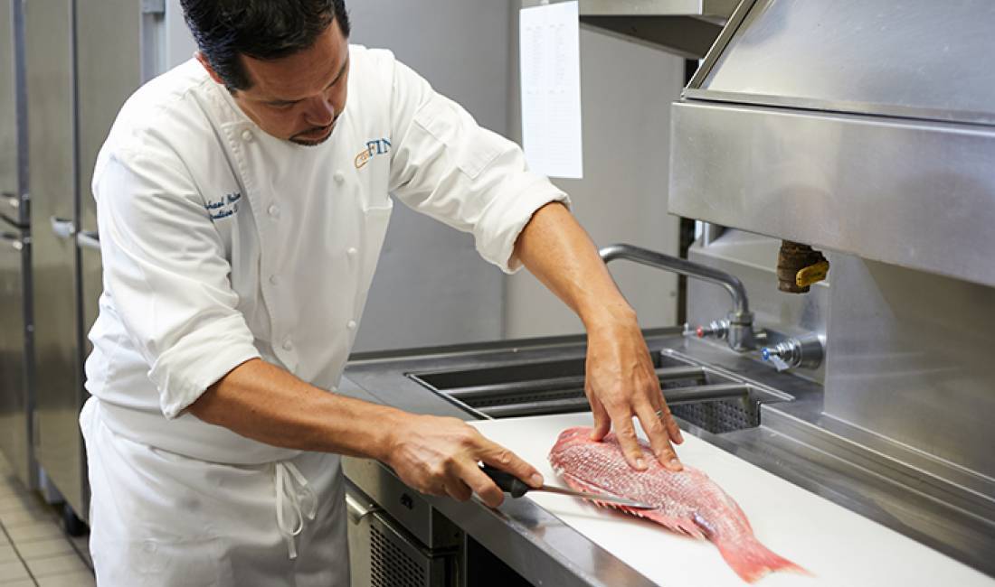 Offerte di lavoro a Tirana, Profession Ndihmes kuzhinier, Pastrues/e peshku dhe Lavapjatese , Con esperienza, Pagamento Trattabile.