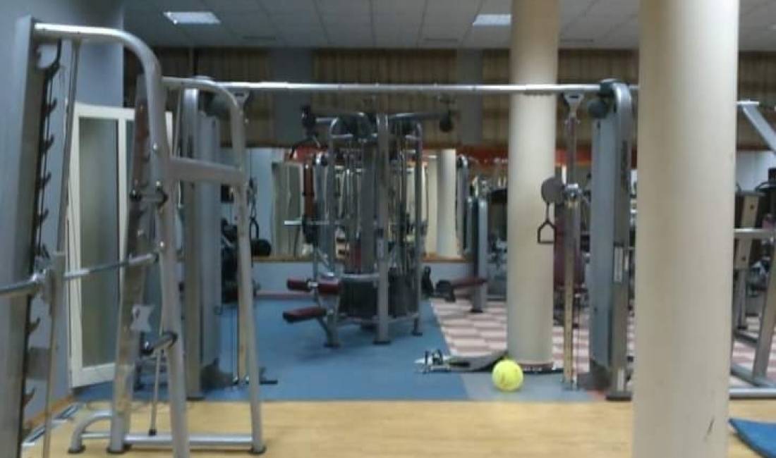 Shitet biznesi: Palester 