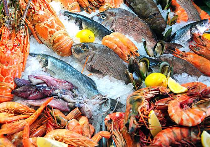 Job Offers for Sales in Tirana