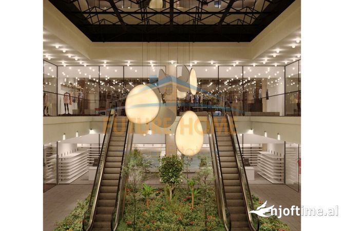 Ambient biznesi ne shitje 1+1 ne Tirane - 513,000 Euro